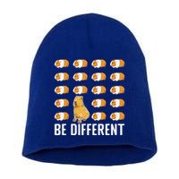 Be Different Capybaras Funny Rodent Capybara Short Acrylic Beanie