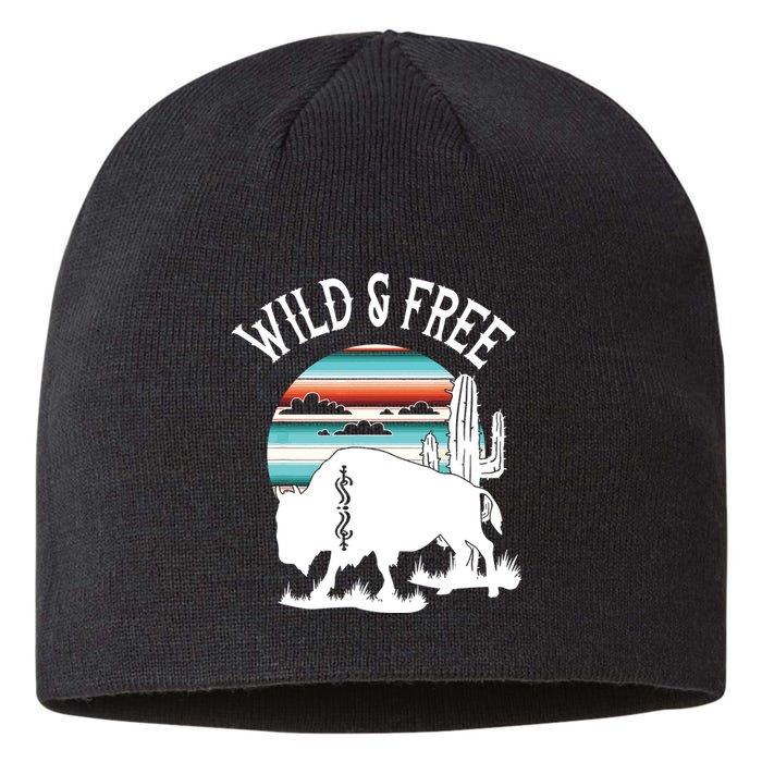 Bison Desert Cactus Serape Wild And Free Western Turquoise Sustainable Beanie