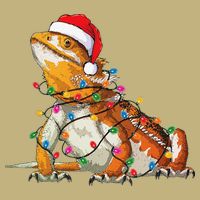 Bearded Dragon Christmas Lights Bearded Dragon Lover Xmas Cooling Performance Crew T-Shirt