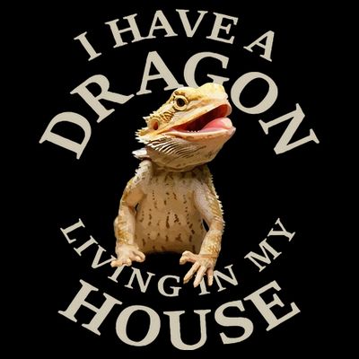 Bearded Dragon Clothes Pogona Barbata Lizard T-Shirt