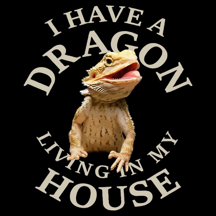 Bearded Dragon Clothes Pogona Barbata Lizard Kids T-Shirt