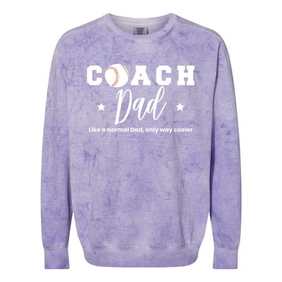 Baseball Dad Coach Definition Gift Colorblast Crewneck Sweatshirt