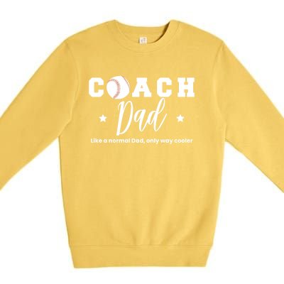 Baseball Dad Coach Definition Gift Premium Crewneck Sweatshirt