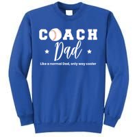 Baseball Dad Coach Definition Gift Sweatshirt