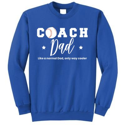 Baseball Dad Coach Definition Gift Sweatshirt