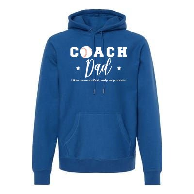 Baseball Dad Coach Definition Gift Premium Hoodie