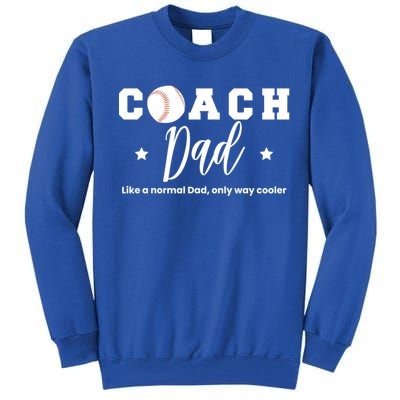 Baseball Dad Coach Definition Gift Tall Sweatshirt