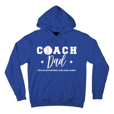 Baseball Dad Coach Definition Gift Tall Hoodie