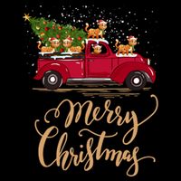 Bobcat Driving Christmas Tree Truck Bobcat Christmas Meaningful Gift Wool Snapback Cap