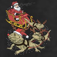 Bearded Dragon Christmas 11oz C Handle Ceramic Mug