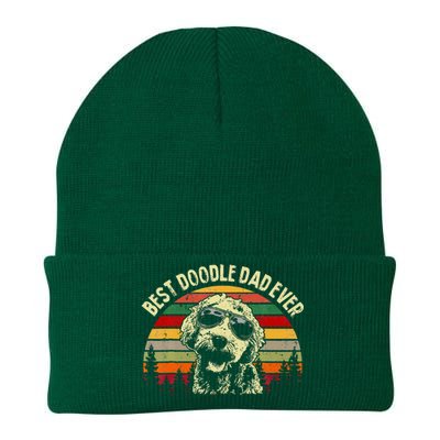 Best Doodle Dad Ever Goldendoodle Dad Knit Cap Winter Beanie