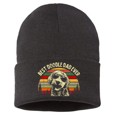 Best Doodle Dad Ever Goldendoodle Dad Sustainable Knit Beanie