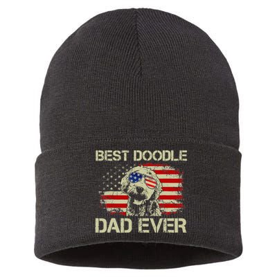 Best Doodle Dad Ever Goldendoodle 4th Of July Gift Sustainable Knit Beanie