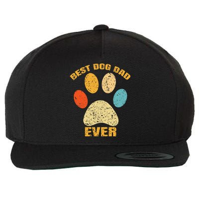 Best Dog Dad Cool Fathers Day Wool Snapback Cap