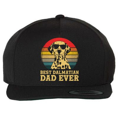 Best Dalmatian Dad Ever Dog Lovers Retro Vintage Great Gift Wool Snapback Cap