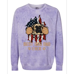 Best Dog Dad Ever Bullmastiff Dog American Flag 4th Of July Colorblast Crewneck Sweatshirt