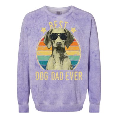 Best Dog Dad Ever Vizsla FatherS Day Gift Colorblast Crewneck Sweatshirt