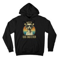 Best Dog Dad Ever Vizsla FatherS Day Gift Hoodie