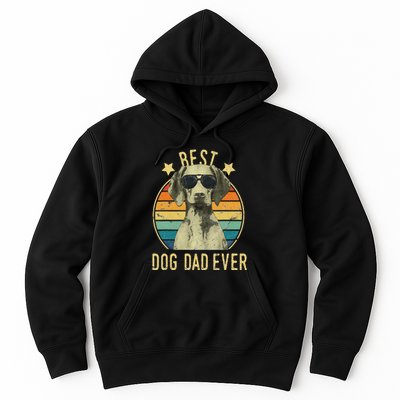 Best Dog Dad Ever Vizsla FatherS Day Gift Hoodie