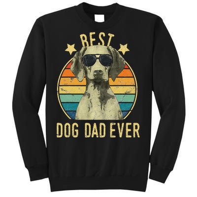 Best Dog Dad Ever Vizsla FatherS Day Gift Sweatshirt