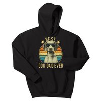 Best Dog Dad Ever Vizsla FatherS Day Gift Kids Hoodie