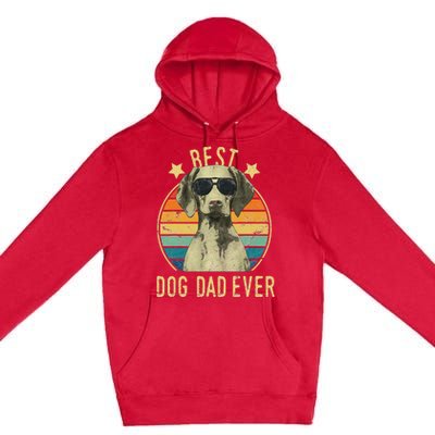 Best Dog Dad Ever Vizsla FatherS Day Gift Premium Pullover Hoodie