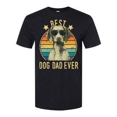 Best Dog Dad Ever Vizsla FatherS Day Gift Softstyle CVC T-Shirt