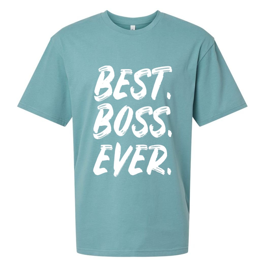 Boss Day Employee Appreciation Office Gift Women Sueded Cloud Jersey T-Shirt