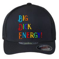 Big Dick Energy BDE Funny Colorful Humor Flexfit Unipanel Trucker Cap