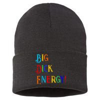 Big Dick Energy BDE Funny Colorful Humor Sustainable Knit Beanie