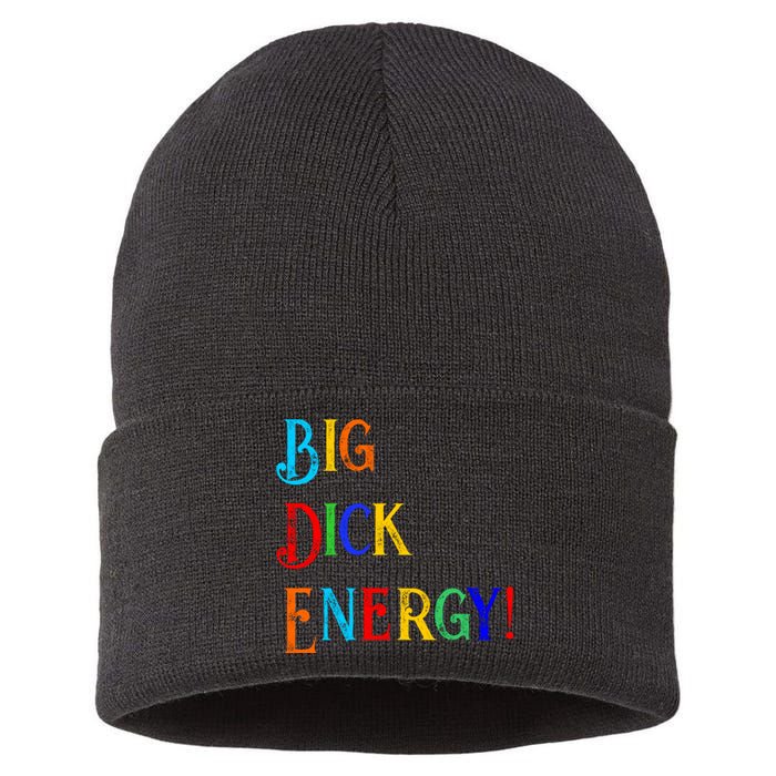 Big Dick Energy BDE Funny Colorful Humor Sustainable Knit Beanie