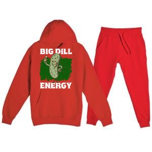 Big Dill Energy Lover Pickles Cute Gift Premium Hooded Sweatsuit Set