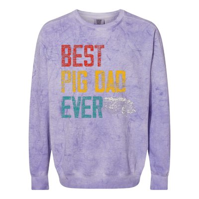 Best Dad Ever Pig Colorblast Crewneck Sweatshirt