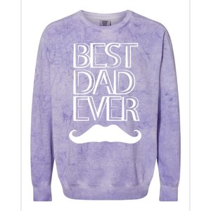 Best Dad Ever Cute Gift Colorblast Crewneck Sweatshirt