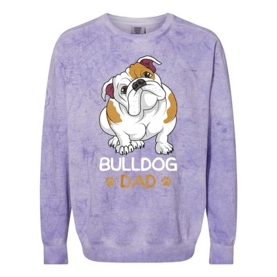 Bulldog Dad Funny English Bulldog Dog Owner Colorblast Crewneck Sweatshirt