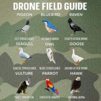 Birds Drone Field Guide They Aren’T Real Legacy Tie Dye Trucker Hat
