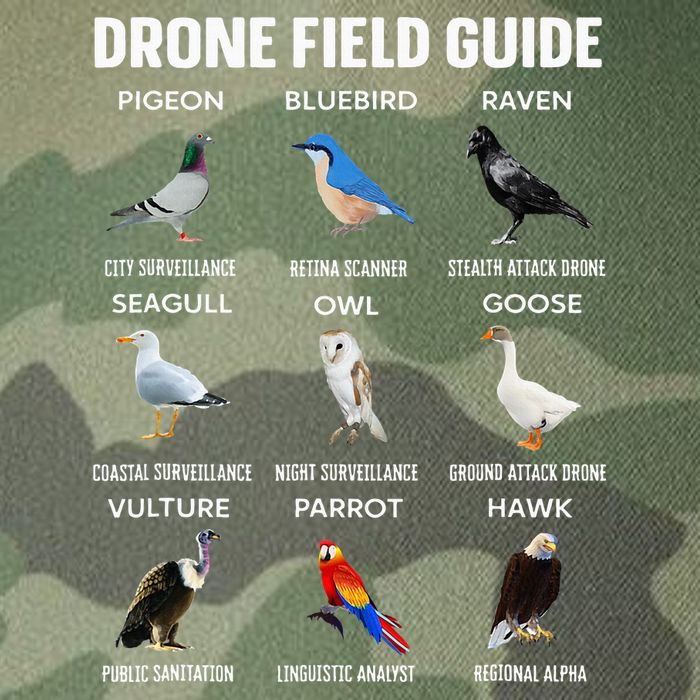 Birds Drone Field Guide They Aren’T Real Legacy Tie Dye Trucker Hat