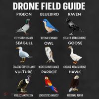 Birds Drone Field Guide They Aren’T Real 7 Panel Mesh Trucker Snapback Hat