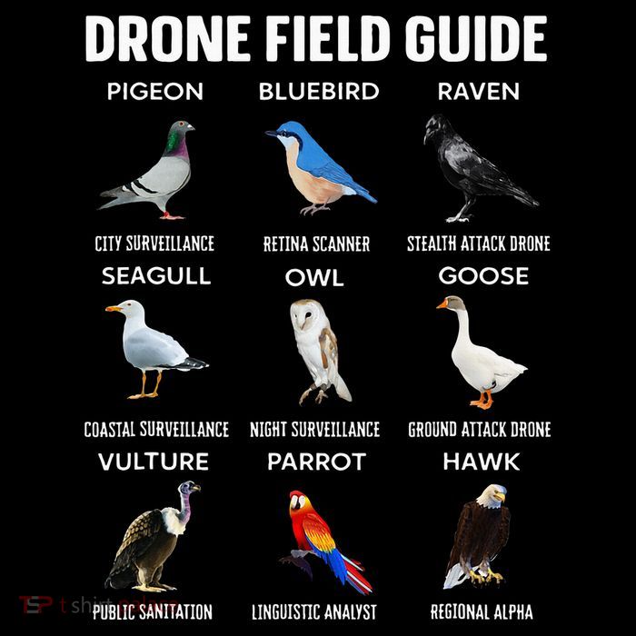 Birds Drone Field Guide They Aren’T Real T-Shirt
