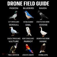 Birds Drone Field Guide They Aren’T Real Tall T-Shirt
