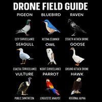 Birds Drone Field Guide They Aren’T Real Impact Tech Backpack