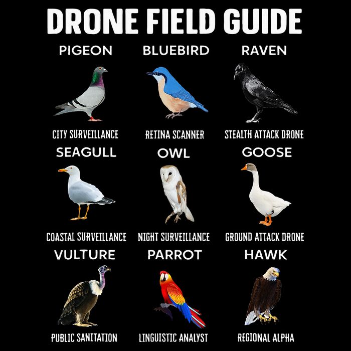 Birds Drone Field Guide They Aren’T Real Impact Tech Backpack