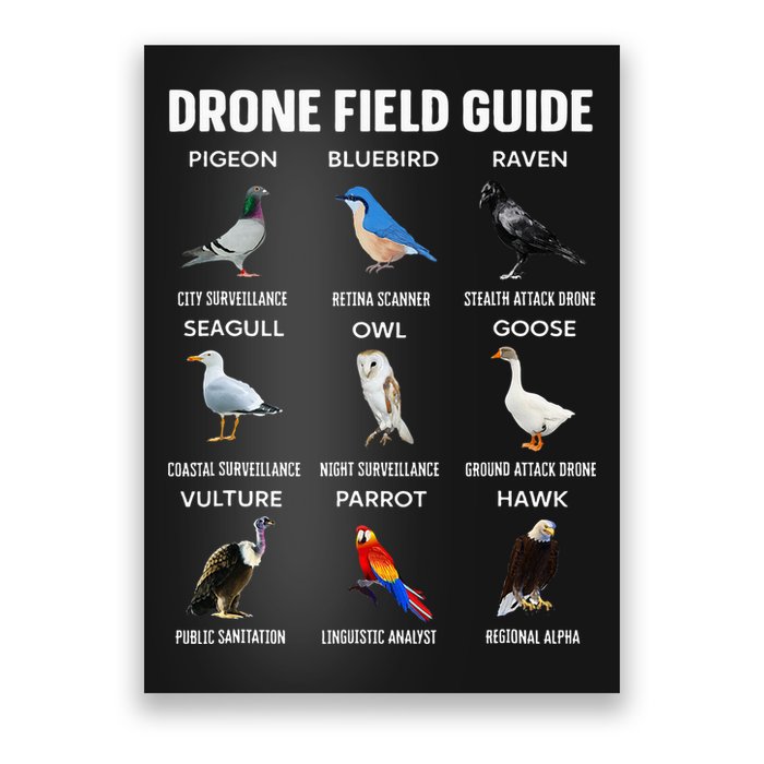 Birds Drone Field Guide They Aren’T Real Poster