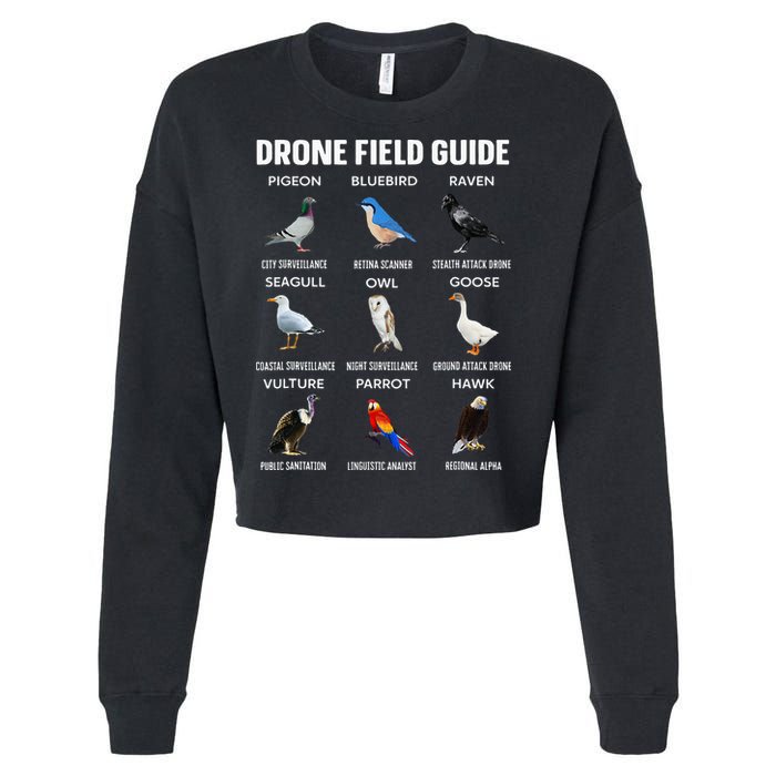 Birds Drone Field Guide They Aren’T Real Cropped Pullover Crew