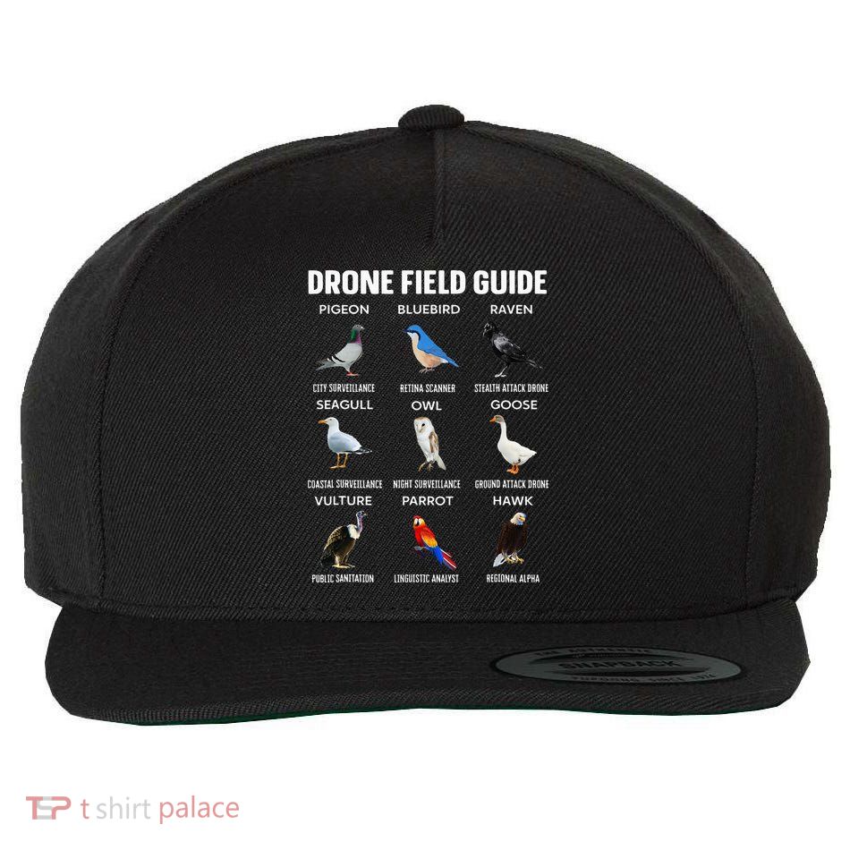Birds Drone Field Guide They Aren’T Real Wool Snapback Cap