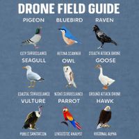 Birds Drone Field Guide They Aren’T Real Garment-Dyed Sweatshirt