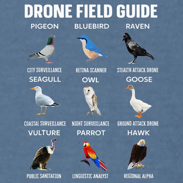 Birds Drone Field Guide They Aren’T Real Garment-Dyed Sweatshirt