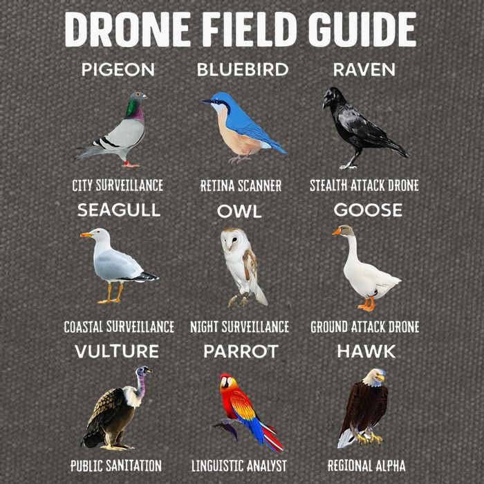 Birds Drone Field Guide They Aren’T Real Cotton Canvas Backpack