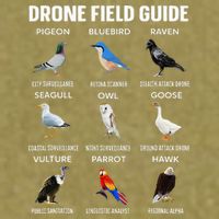 Birds Drone Field Guide They Aren’T Real Garment-Dyed Women's Muscle Tee