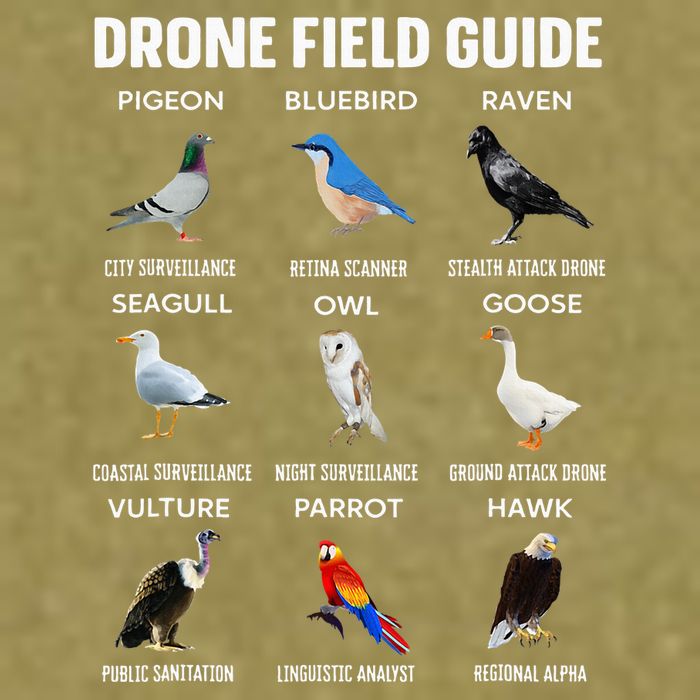 Birds Drone Field Guide They Aren’T Real Garment-Dyed Women's Muscle Tee